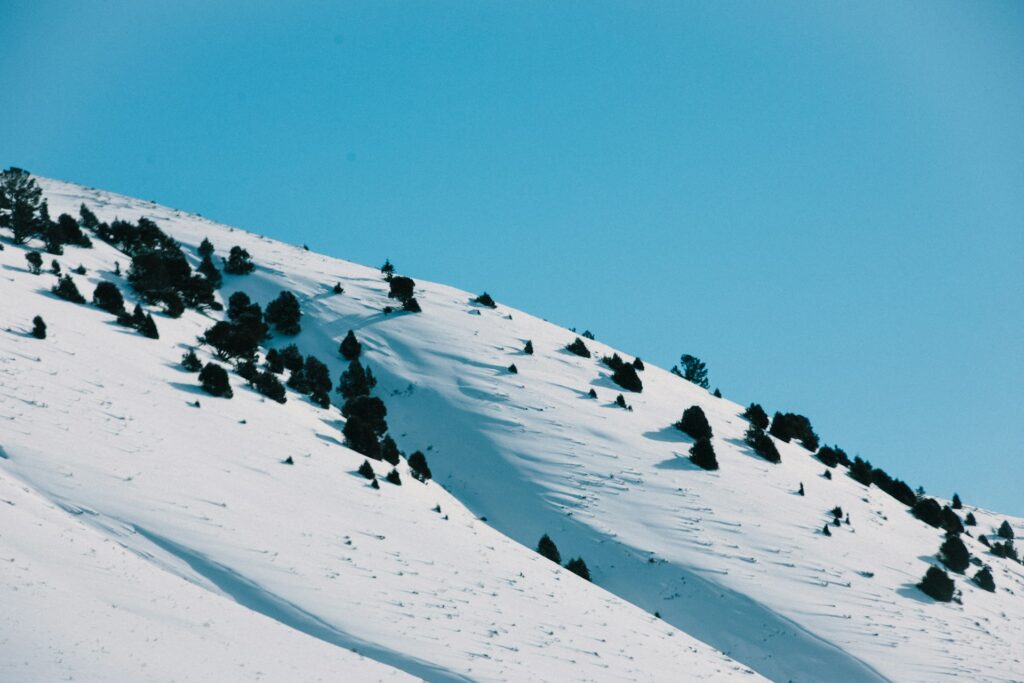 Go skiing in Jackson Hole